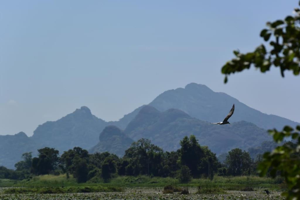Sigiriya Village Home Stay Exteriér fotografie
